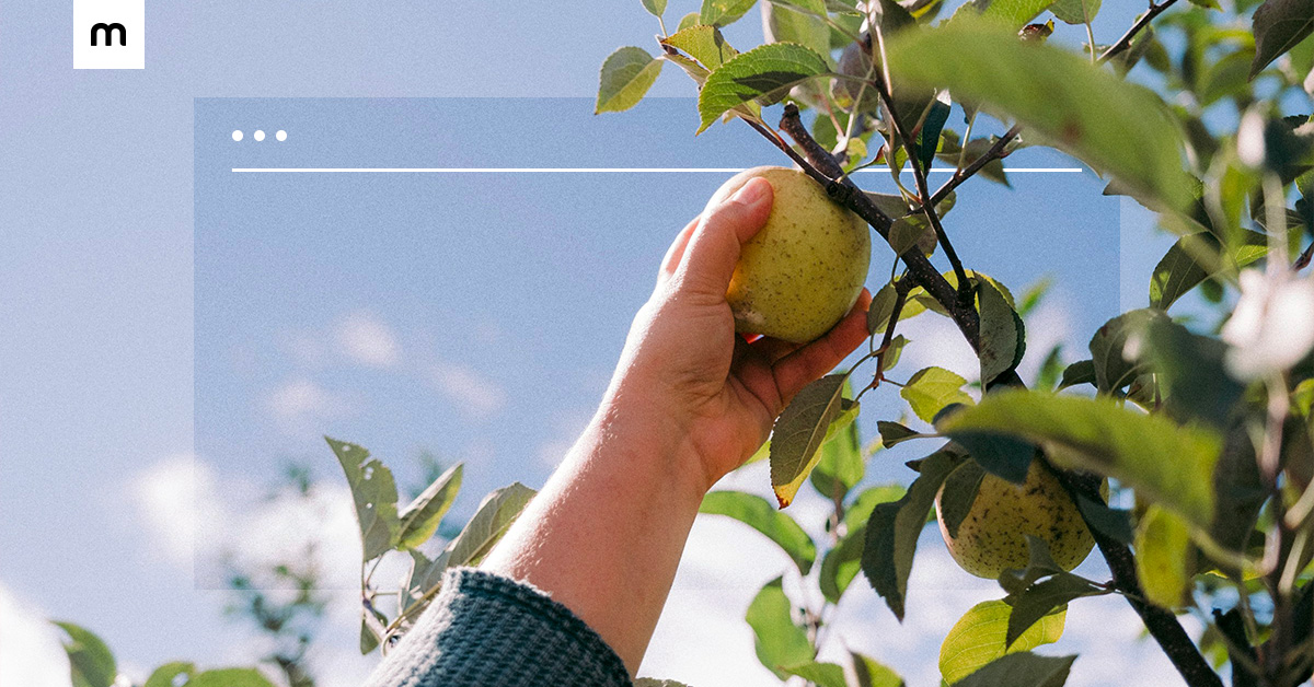 מתי בעלי עסקים קטנים צריכים לבחור בונה אתרים